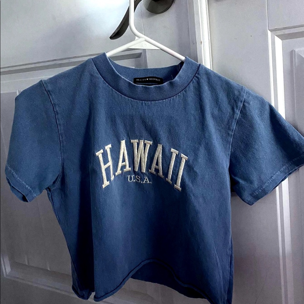 blue crop top from brandy melville